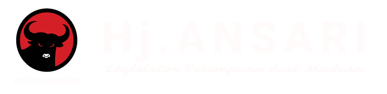 Official Website Hj Ansari DPR RI PDIP